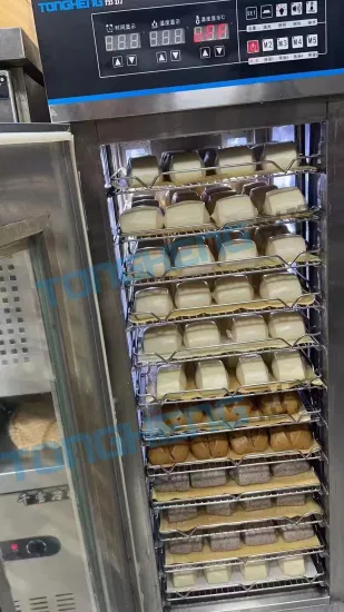 Steamer Fermenting Dough Trays Retarder Proofer Cabinet Bread Dough Proofer Machine