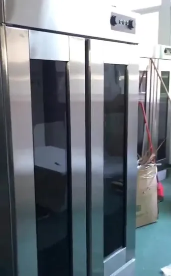 Bread Processing Machine Standard Pizza Dough Proofer 