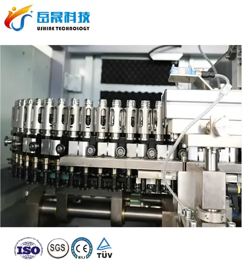 Automatic Bottle Filling System Blowing Filling Capping Machine Blow Moulding Machine 