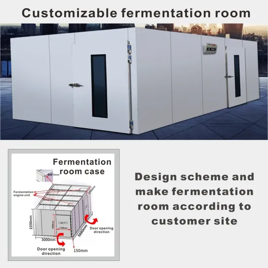 2 Rack 64 Trays Automatic Fermentation Box Bread Proofer Room (ZMX
