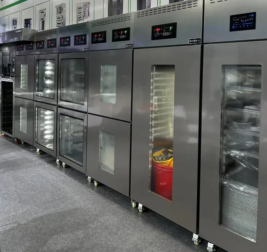 Steam Generator Proofer Machine with Frozen Dough Compatibility 