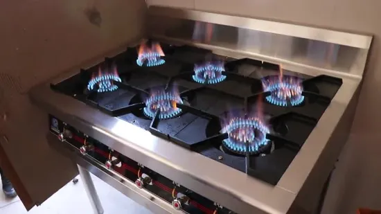 Professional Manufacturer Burner Cooking Gas Range