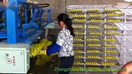 Automatic Egg Paper Tray Making Carton Moulding Machine 